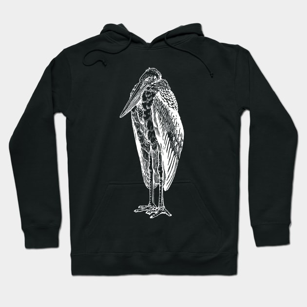 Stork Adjutant Bird Standing Hoodie by terrybain